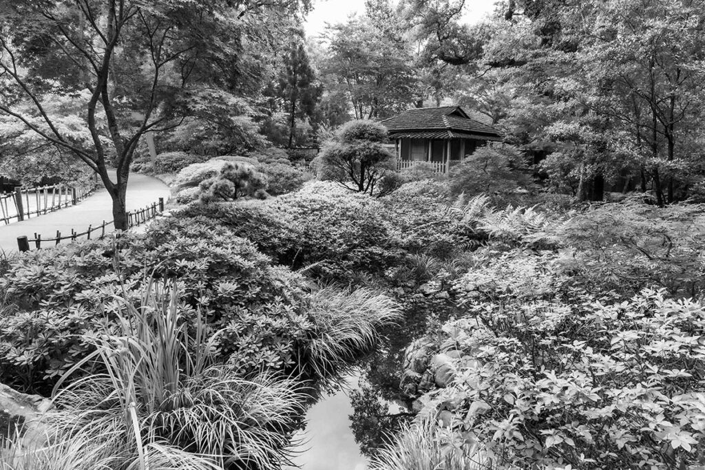 Jeanne Cameron;Hanover Arboretum;metal;18;12;;150;